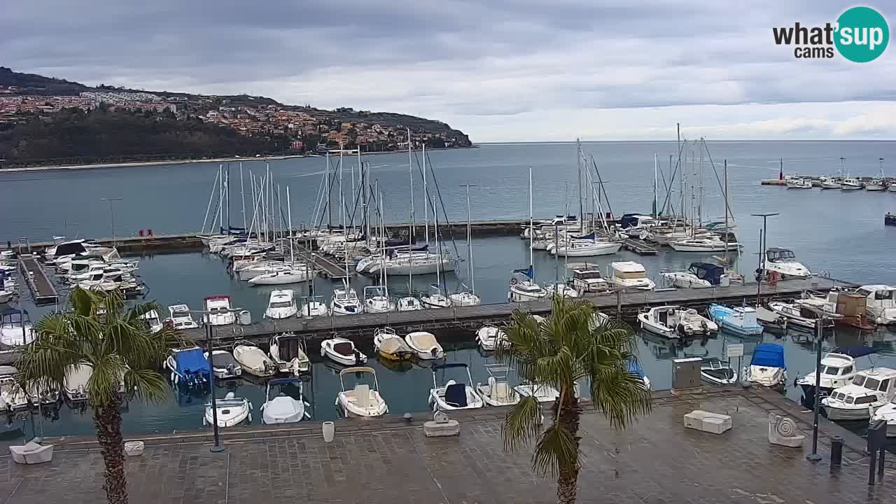 Webcam Koper – Panorama of the marina and promenade from the Grand Hotel Koper