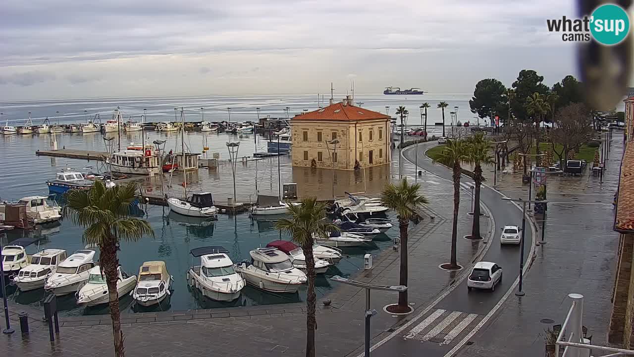 Webcam Koper – Panorama of the marina and promenade from the Grand Hotel Koper