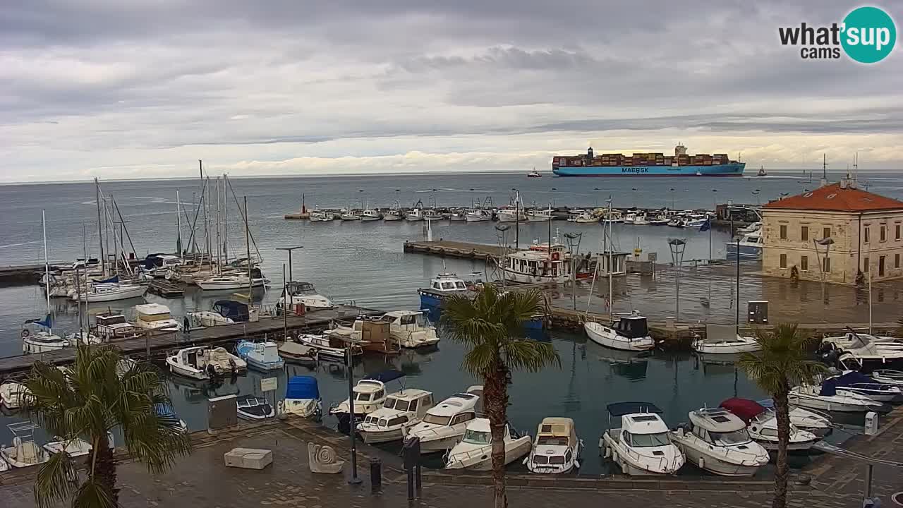 Luka Kopar uživo web kamera – Turistički terminal i teretna luka – Slovenija