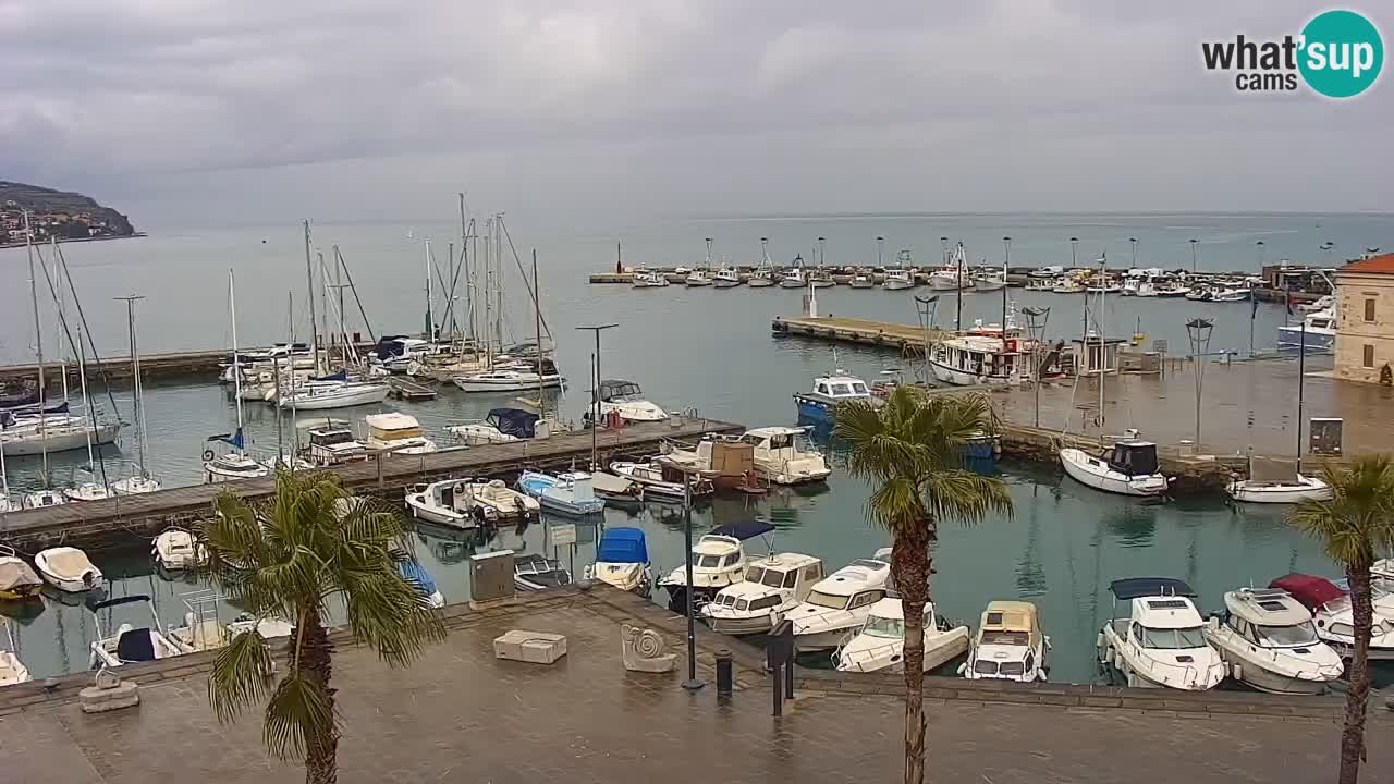 Webcam Koper – Panorama of the marina and promenade from the Grand Hotel Koper