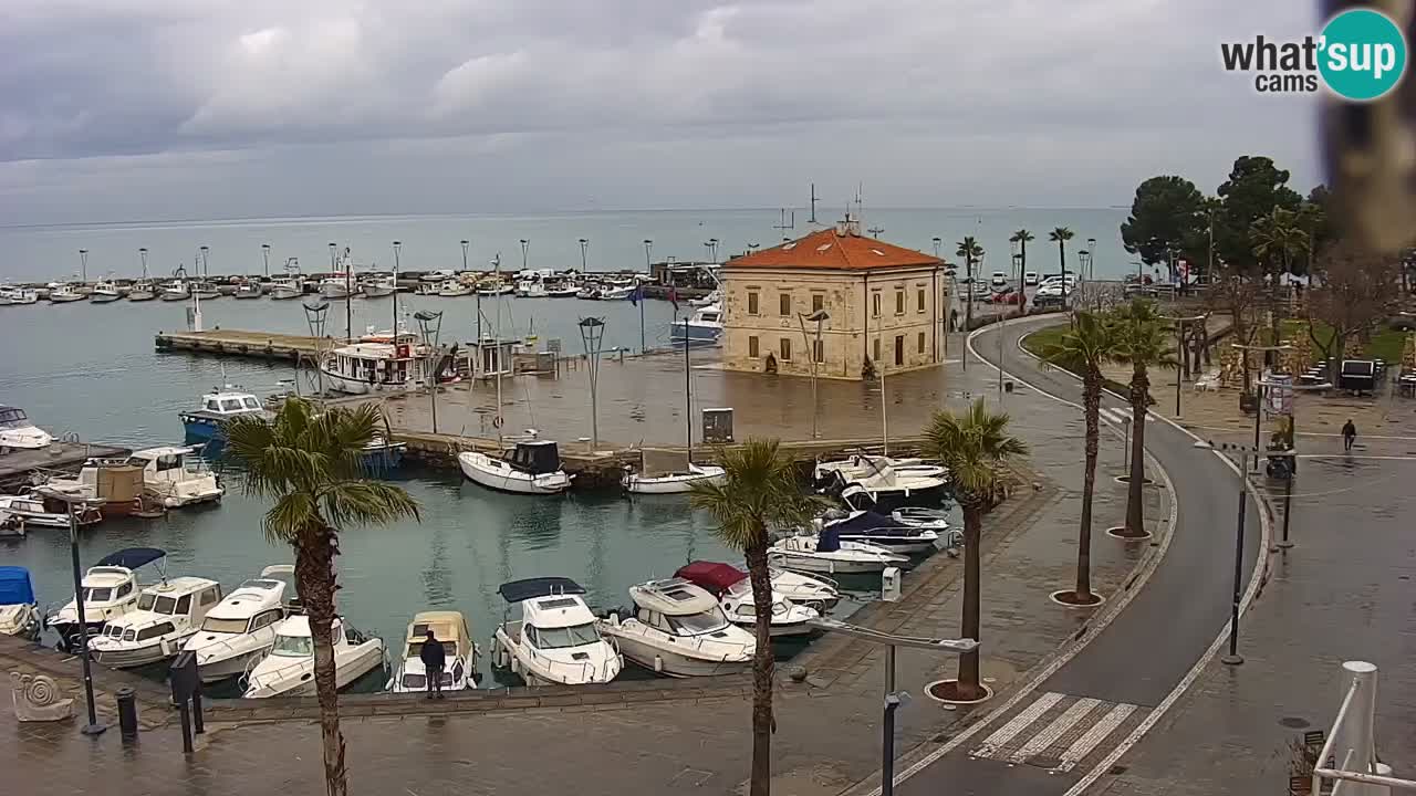 Webcam Capodistria – Piazza Ukmar