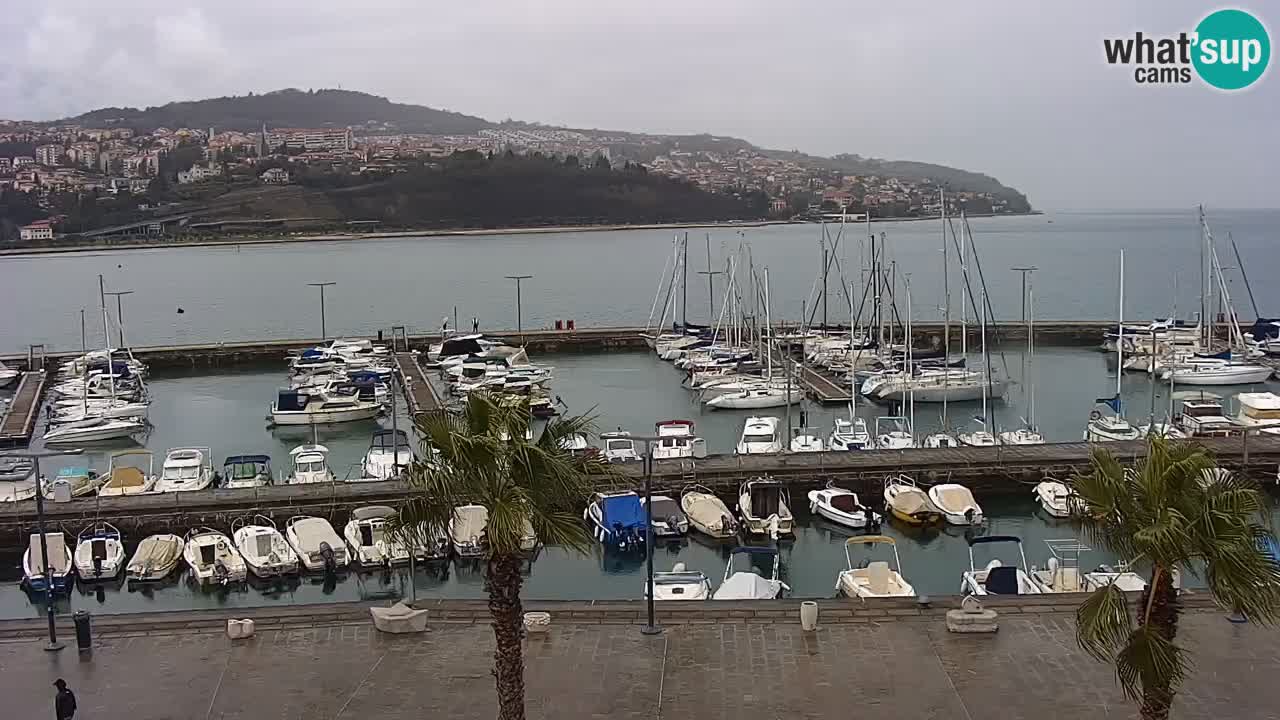 Il porto di Koper – Capodistria live webcam – porto crociere e mercantile – Slovenia