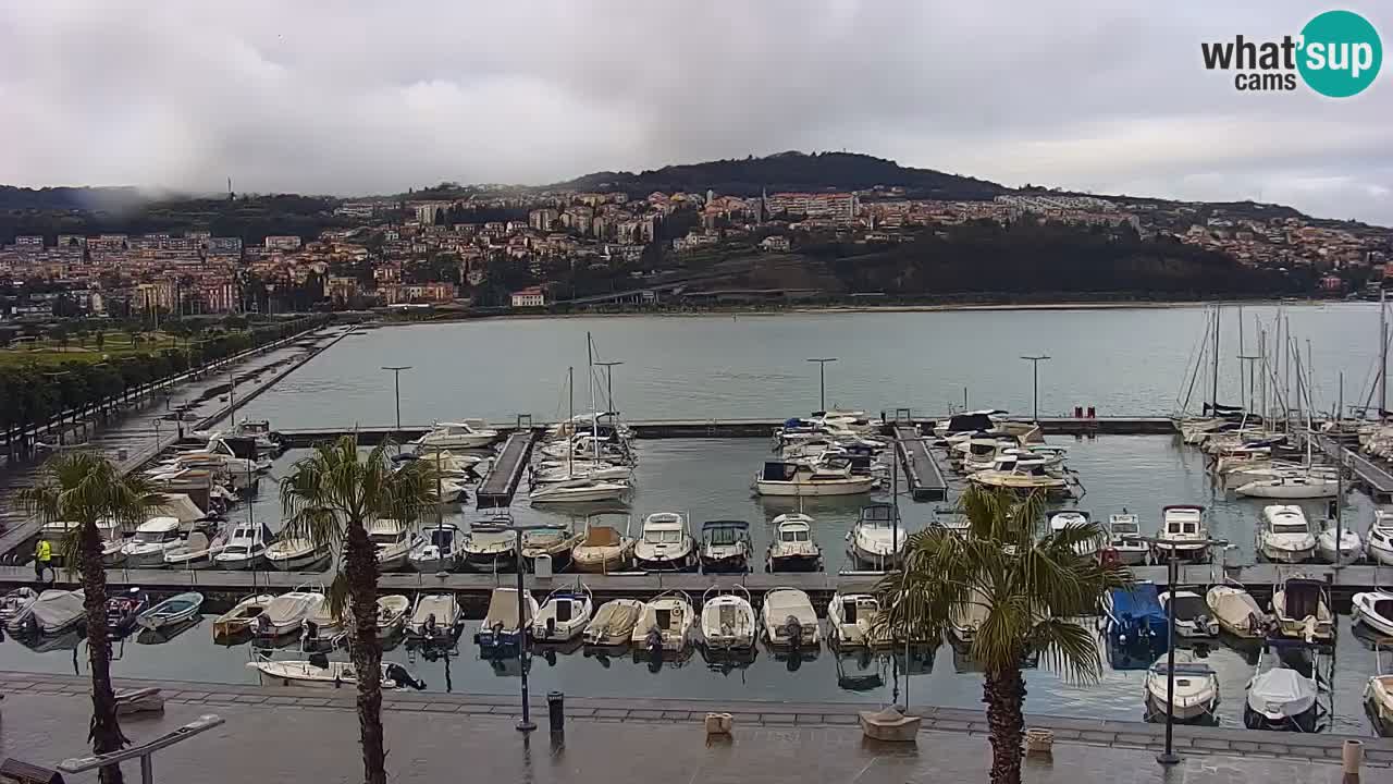 Webcam Koper – Ukmarjev trg