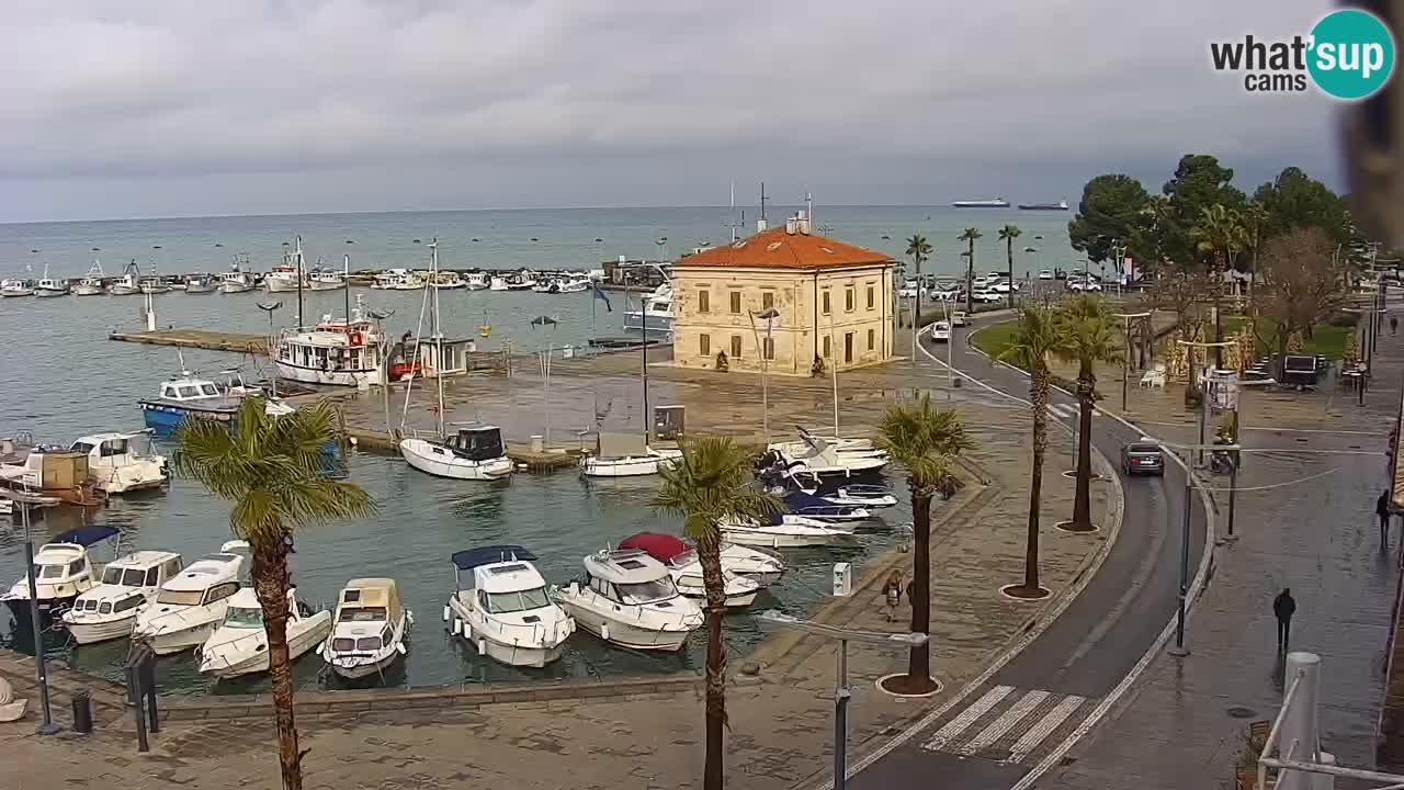 Der Hafen von Koper Live-Webcam – Kreuzfahrt- und Frachthafen – Slowenien