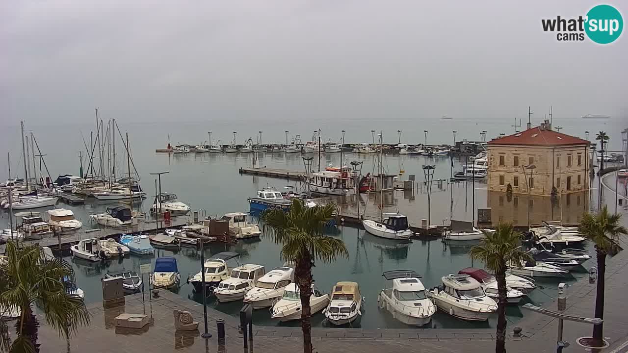 Webcam Koper – Panorama de la marina et de la promenade depuis le Grand Hotel Koper