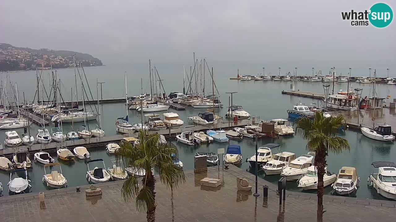 Spletna kamera Koper – Panorama na marino in promenado s Hotela Grand Koper