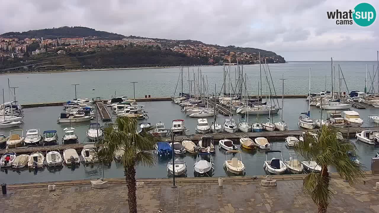 Webcam Koper – Panorama des Jachthafens und der Promenade vom Hotel Grand Koper