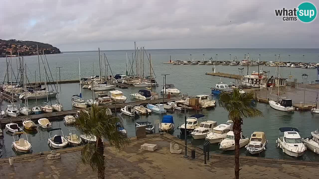 Webcam Koper – Panorama des Jachthafens und der Promenade vom Hotel Grand Koper