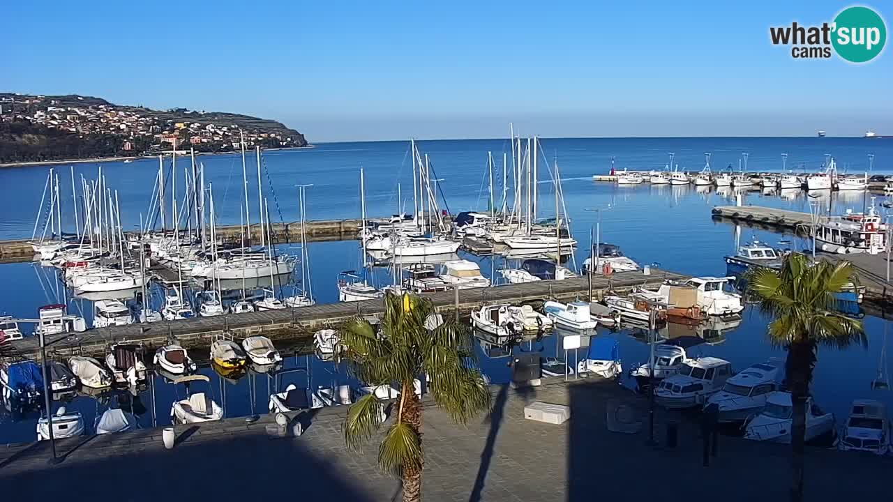 Camera en vivo Koper – puerto deportivo y paseo marítimo desde el Hotel Grand Koper