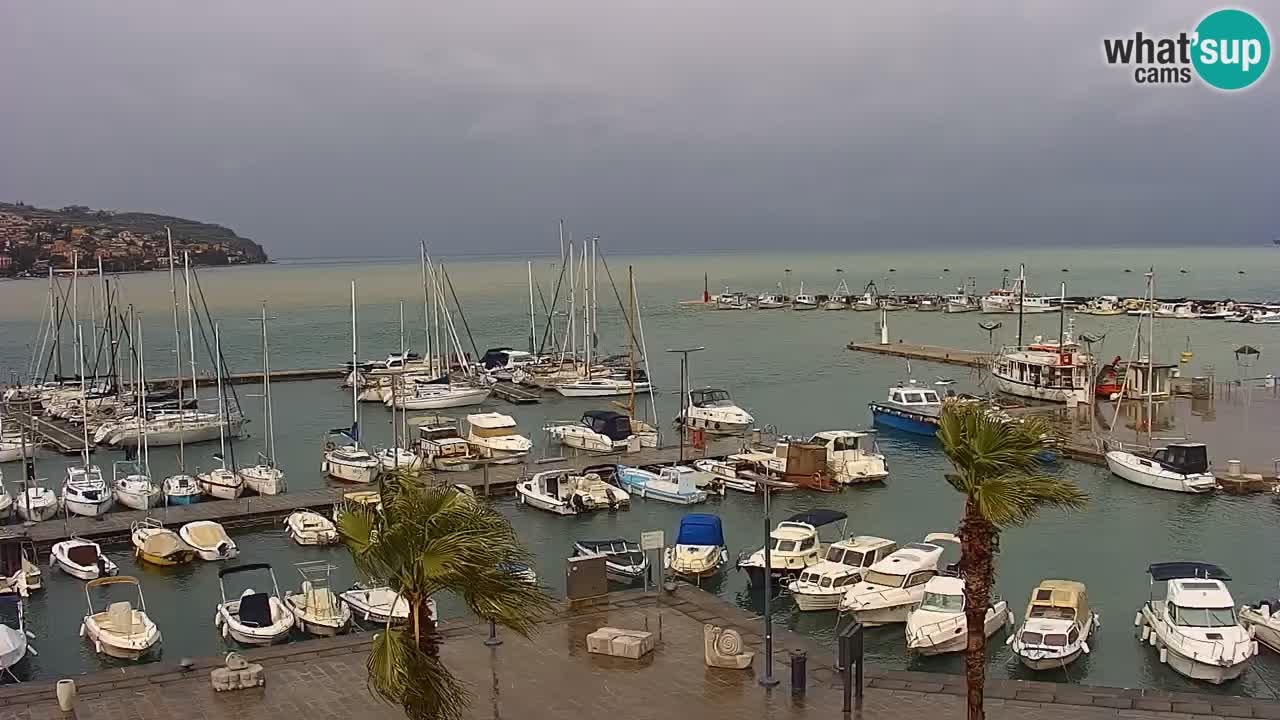 Spletna kamera Koper – Panorama na marino in promenado s Hotela Grand Koper