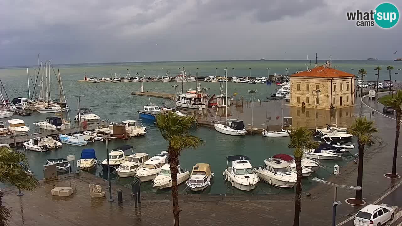 Camera en vivo Koper – puerto deportivo y paseo marítimo desde el Hotel Grand Koper