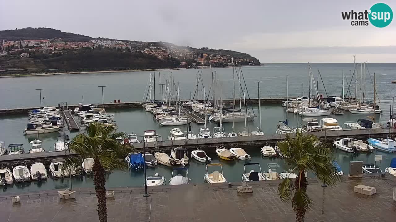 Webcam Koper – Panorama of the marina and promenade from the Grand Hotel Koper