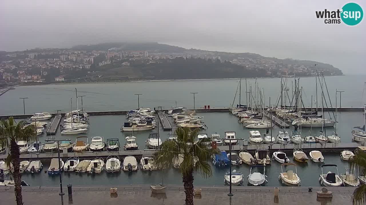 The Port of Koper live webcam – cruise and cargo port – Slovenia