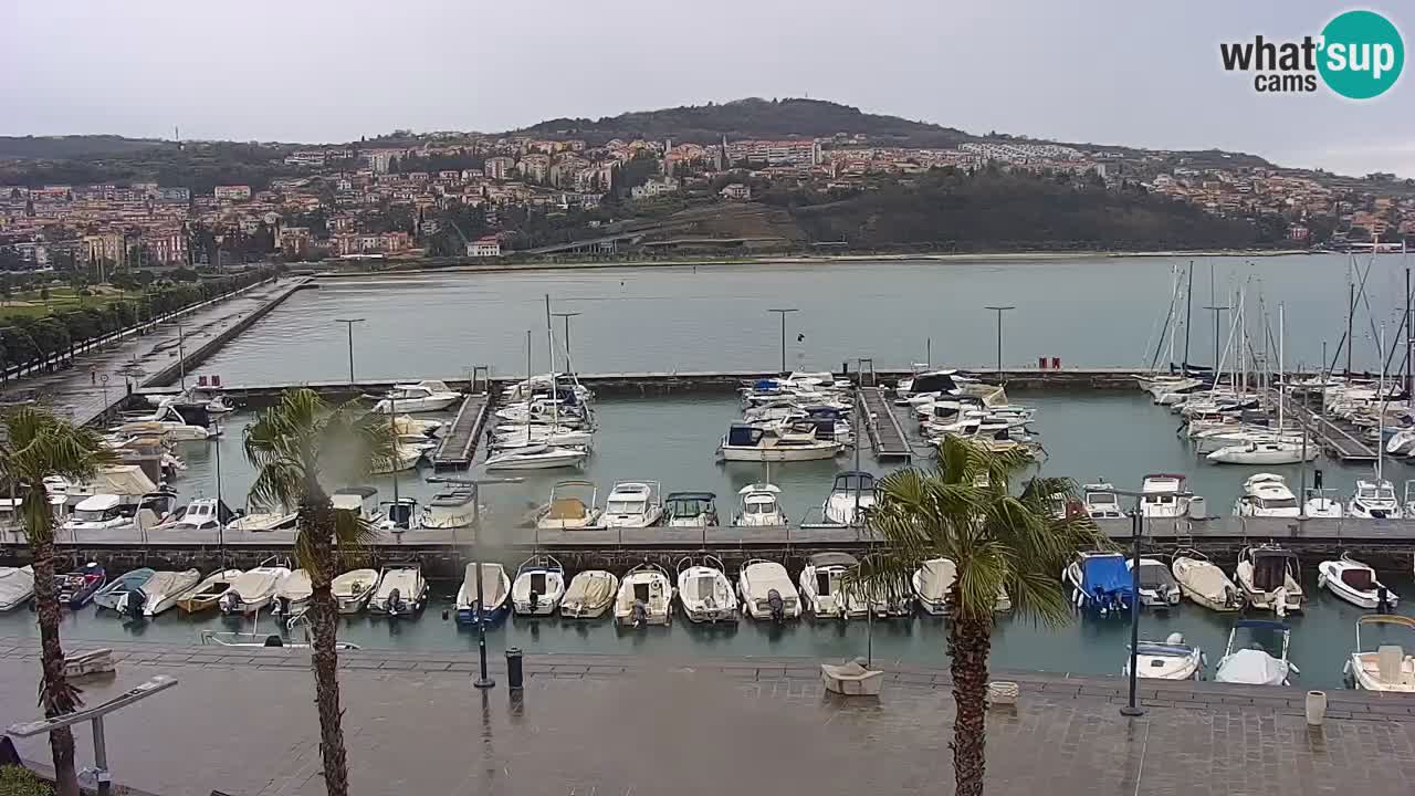 Der Hafen von Koper Live-Webcam – Kreuzfahrt- und Frachthafen – Slowenien