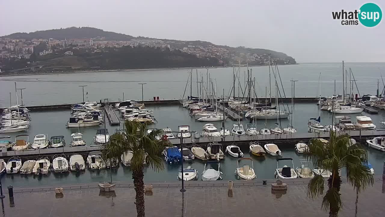 Spletna kamera Luka Koper v živo – Potniški terminal in tovorno pristanišče – Slovenija