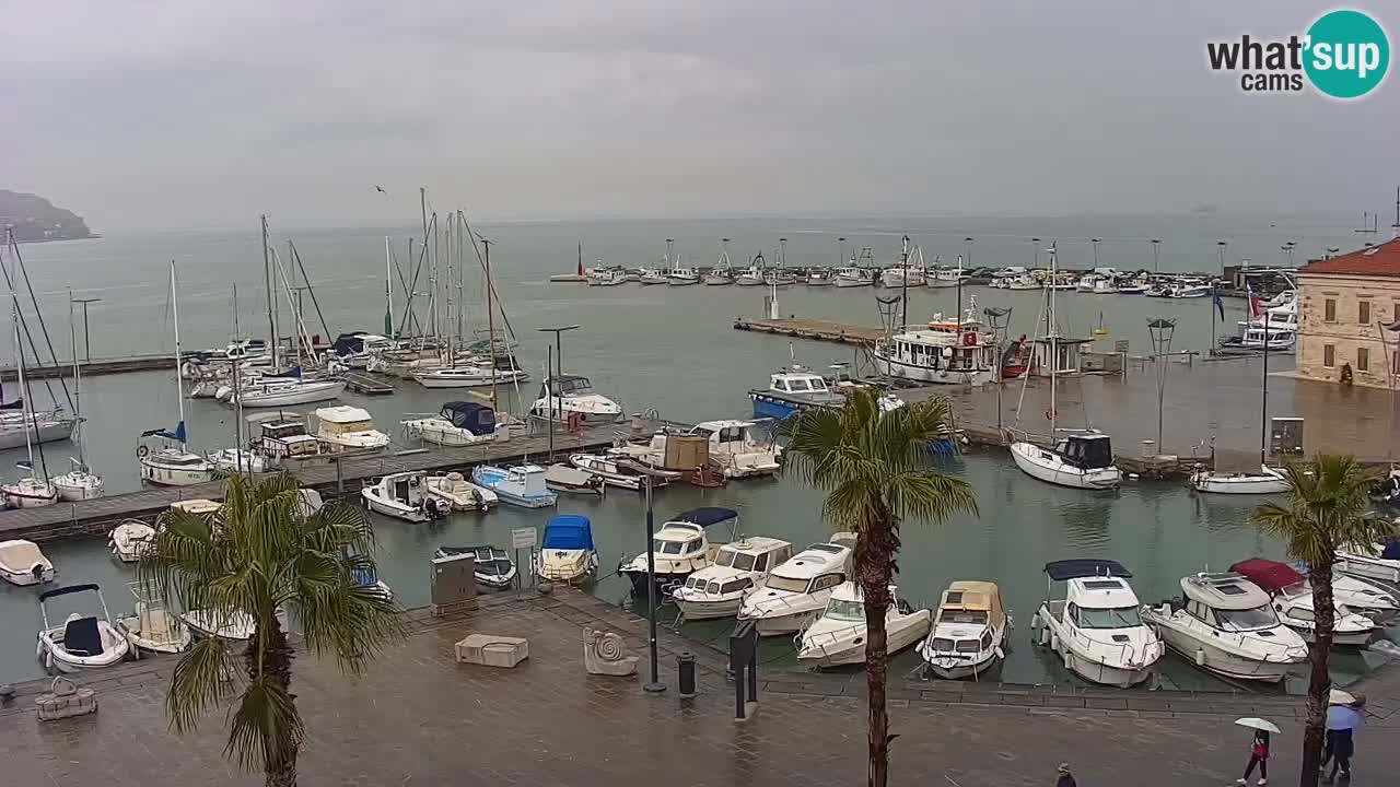 Webcam Koper – Panorama of the marina and promenade from the Grand Hotel Koper