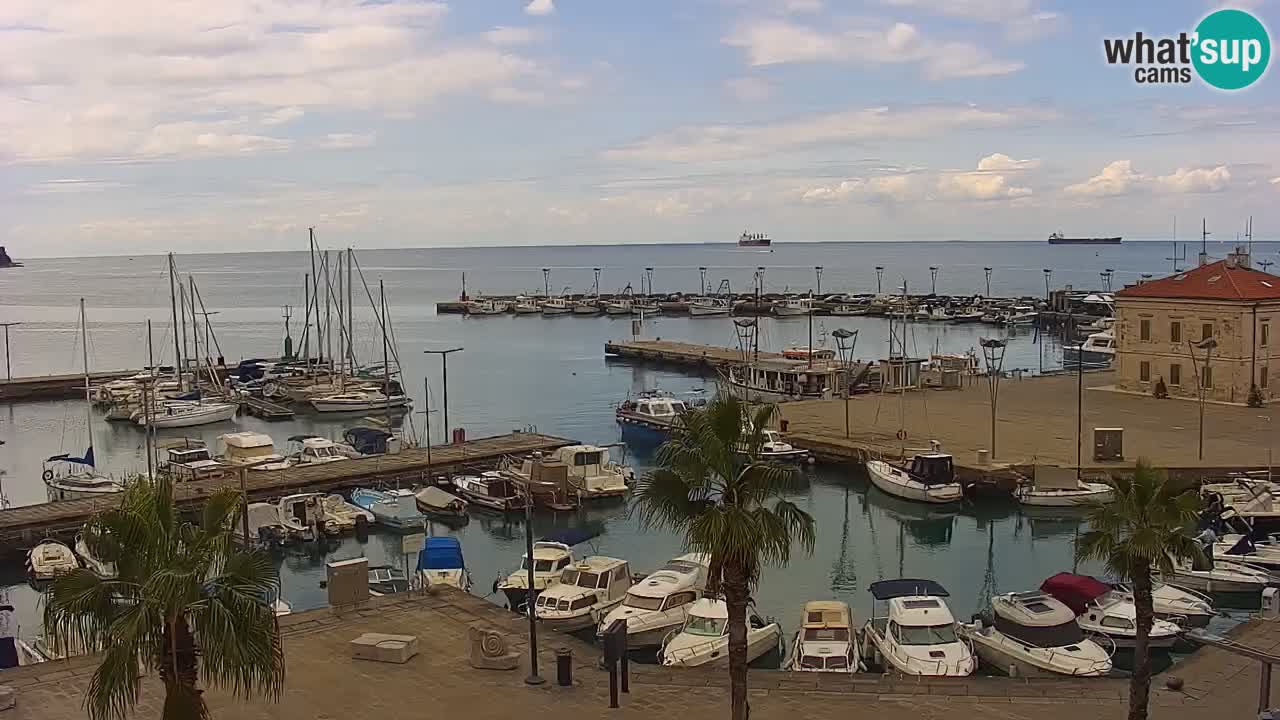 Webcam Koper – Ukmarjev trg