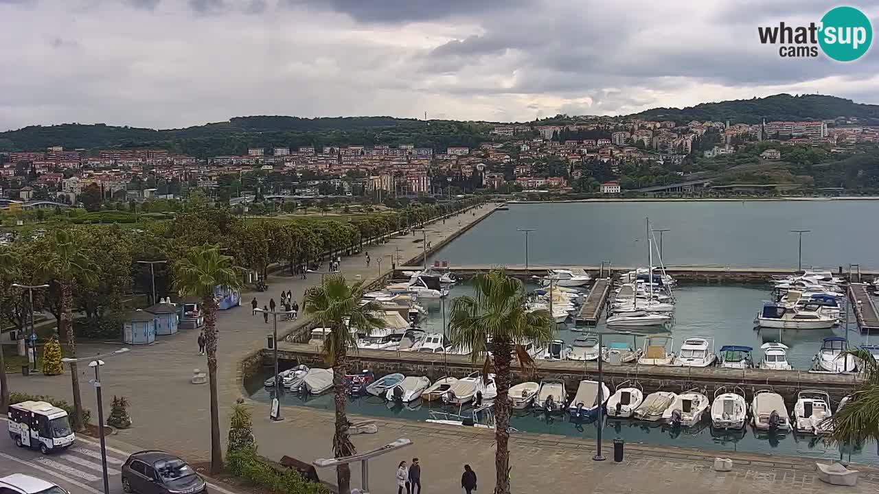 Kamera v živo Koper – Ukmarjev trg