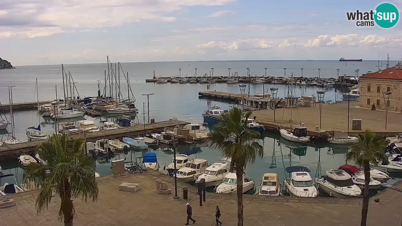 Livecam Koper – Ukmarjev trg