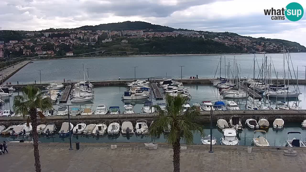 Der Hafen von Koper Live-Webcam – Kreuzfahrt- und Frachthafen – Slowenien