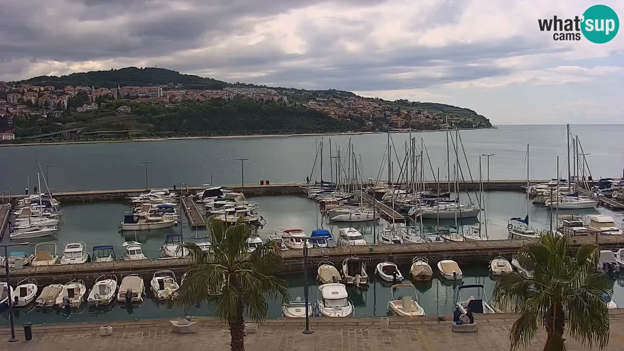 Webcam Koper – Panorama de la marina et de la promenade depuis le Grand Hotel Koper
