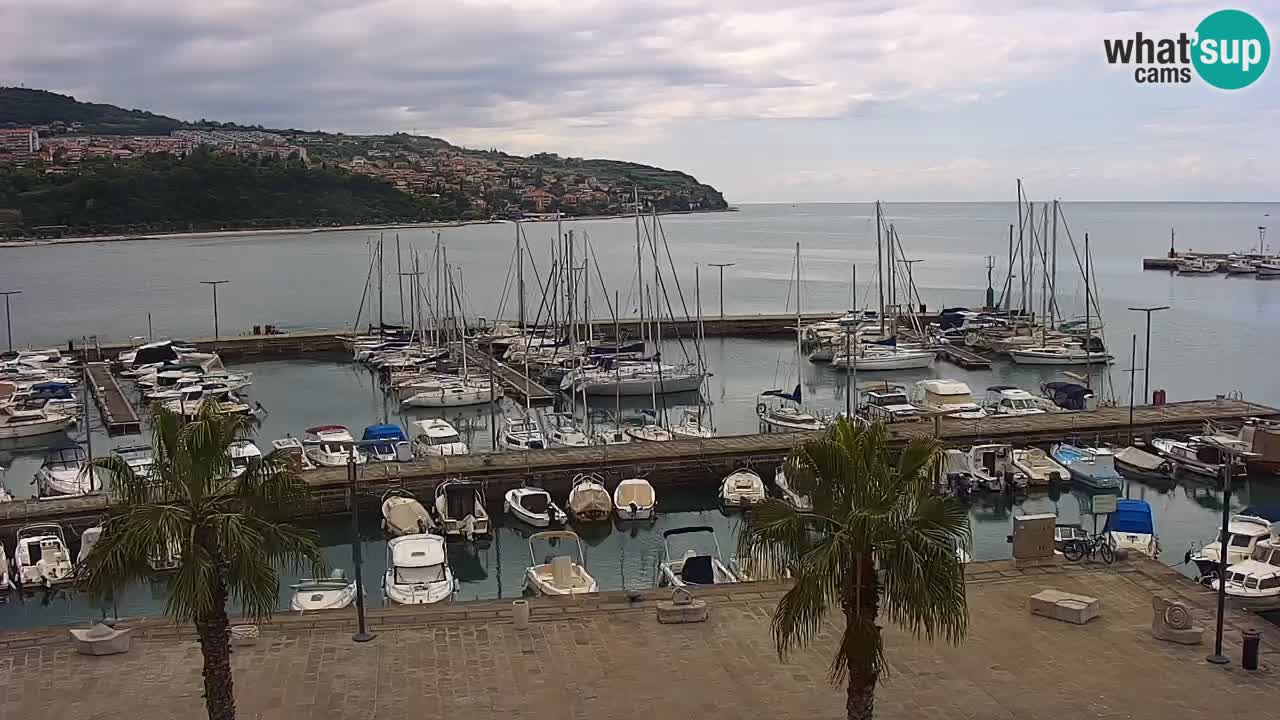 Webcam Koper – Panorama de la marina et de la promenade depuis le Grand Hotel Koper