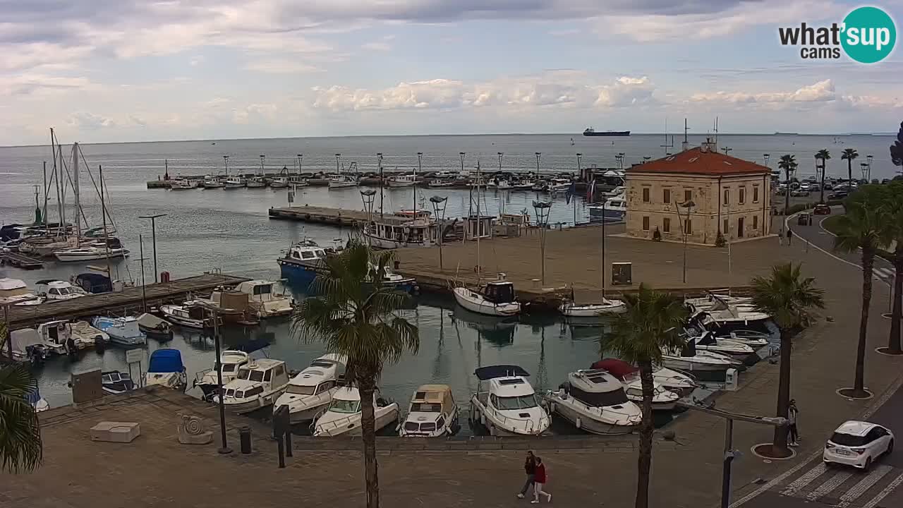 Web kamera Koper – marina i promenada – hotel Grand Koper
