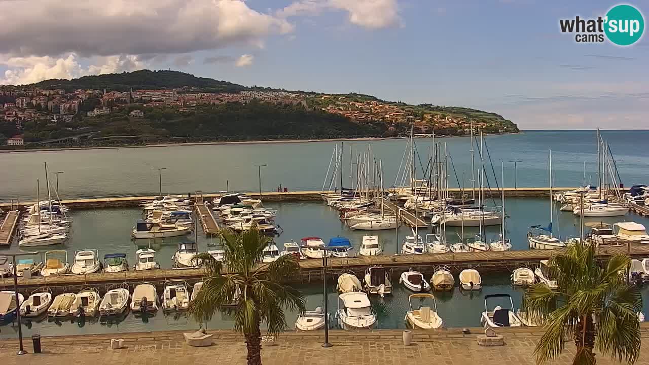 Der Hafen von Koper Live-Webcam – Kreuzfahrt- und Frachthafen – Slowenien