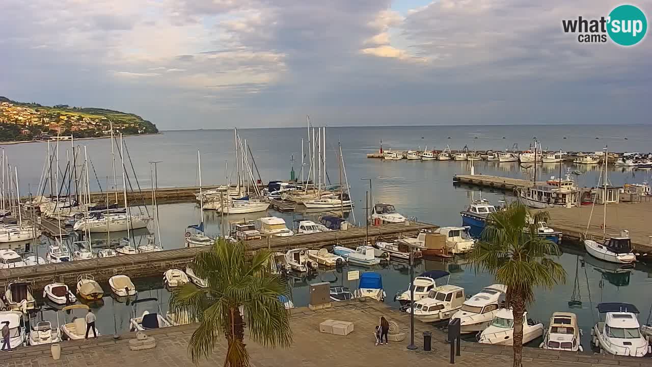 Livecam Koper – Ukmarjev trg