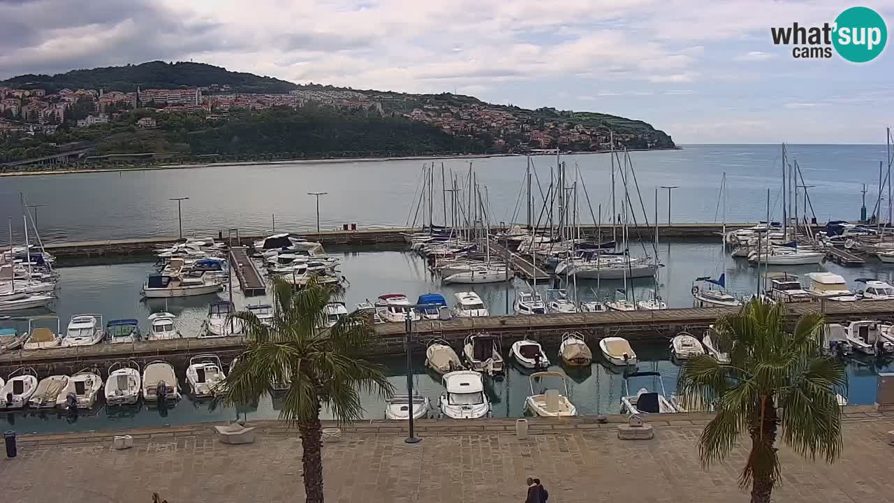 The Port of Koper live webcam – cruise and cargo port – Slovenia