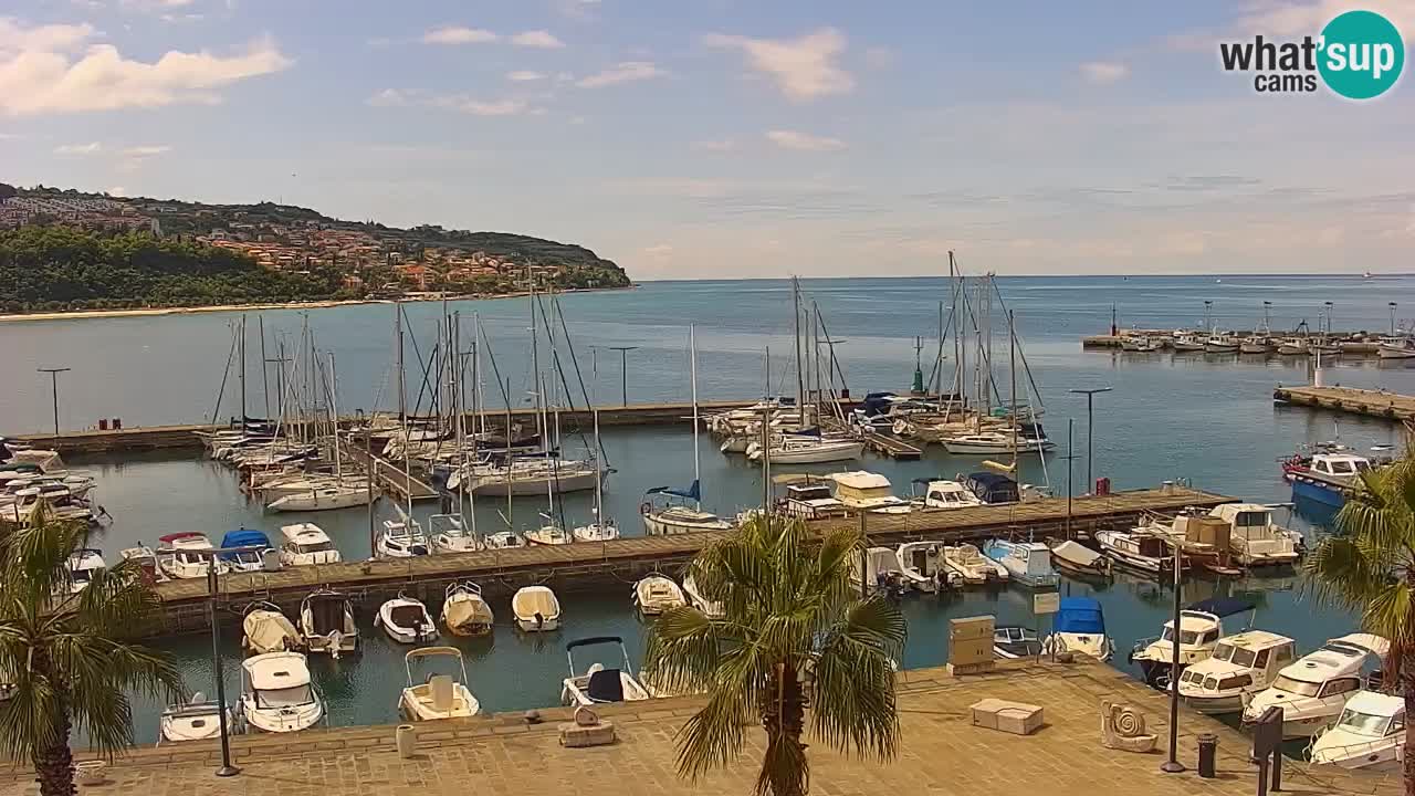 Il porto di Koper – Capodistria live webcam – porto crociere e mercantile – Slovenia