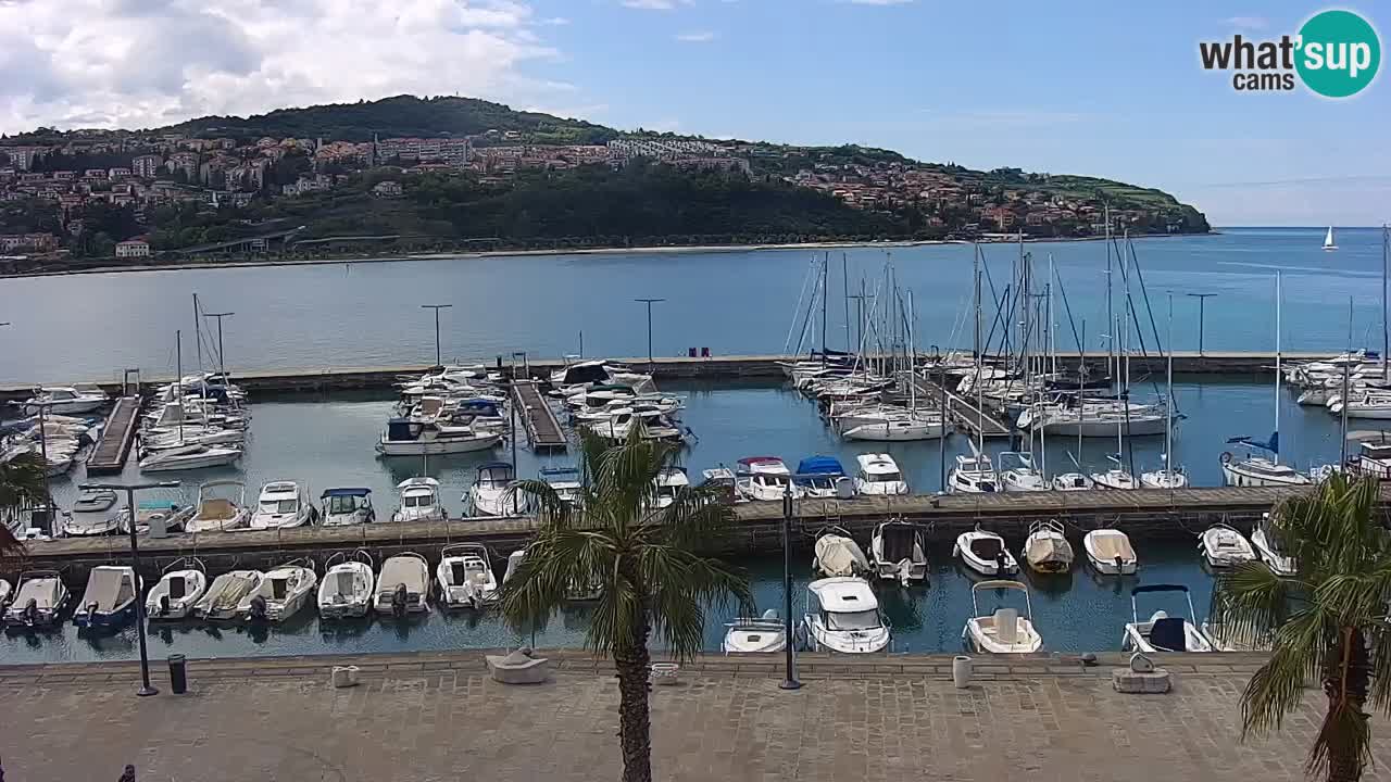 Spletna kamera Koper – Panorama na marino in promenado s Hotela Grand Koper
