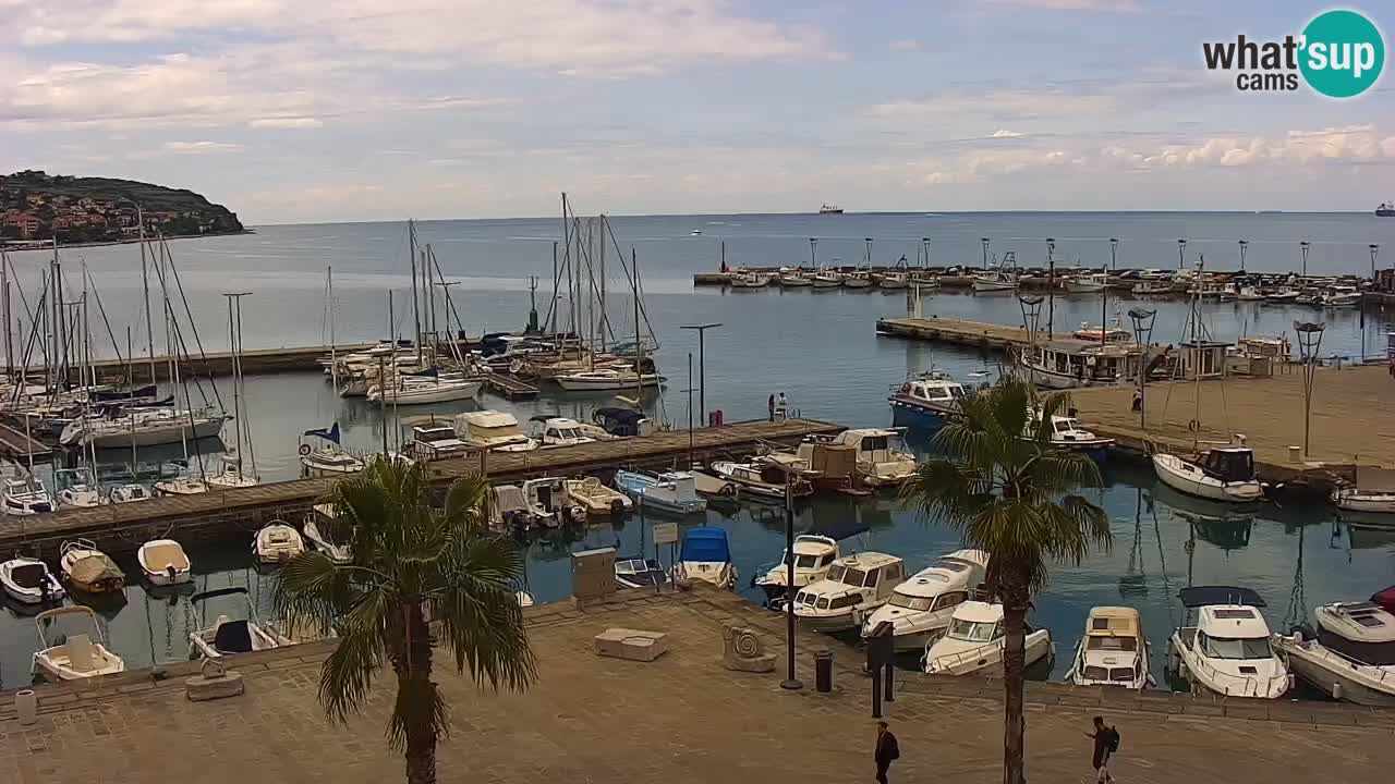 Webcam en direct du port de Koper – port de croisière et de fret – Slovénie