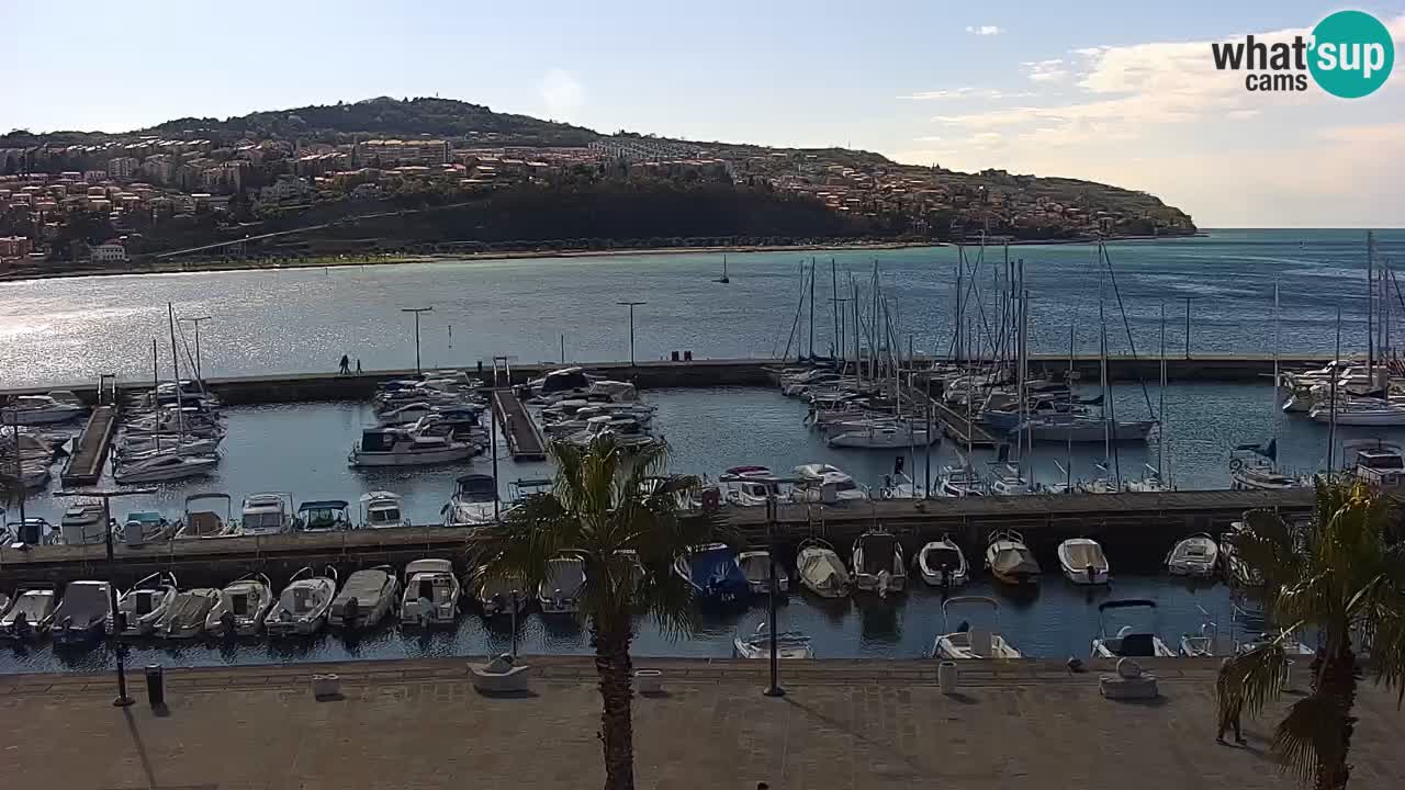 Camera en Vivo Koper – Ukmarjev trg