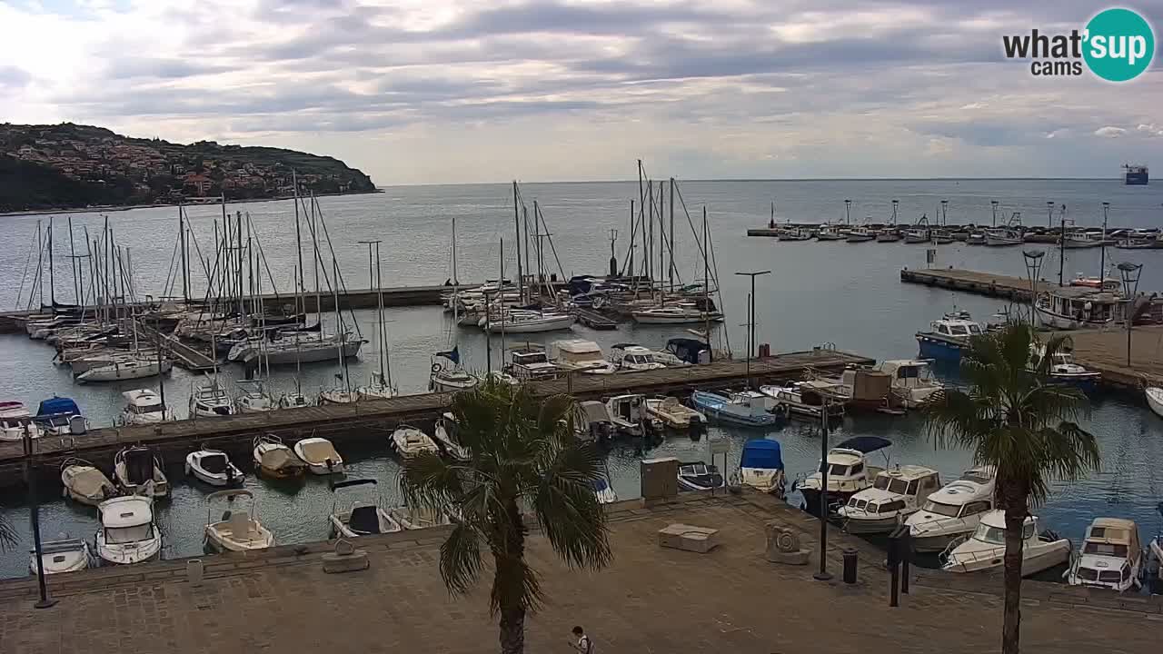 Spletna kamera Koper – Panorama na marino in promenado s Hotela Grand Koper