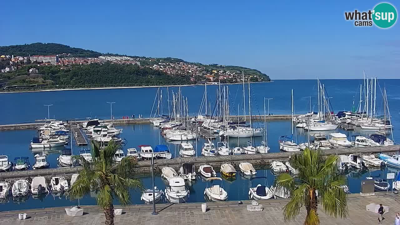 Web kamera Koper – marina i promenada – hotel Grand Koper