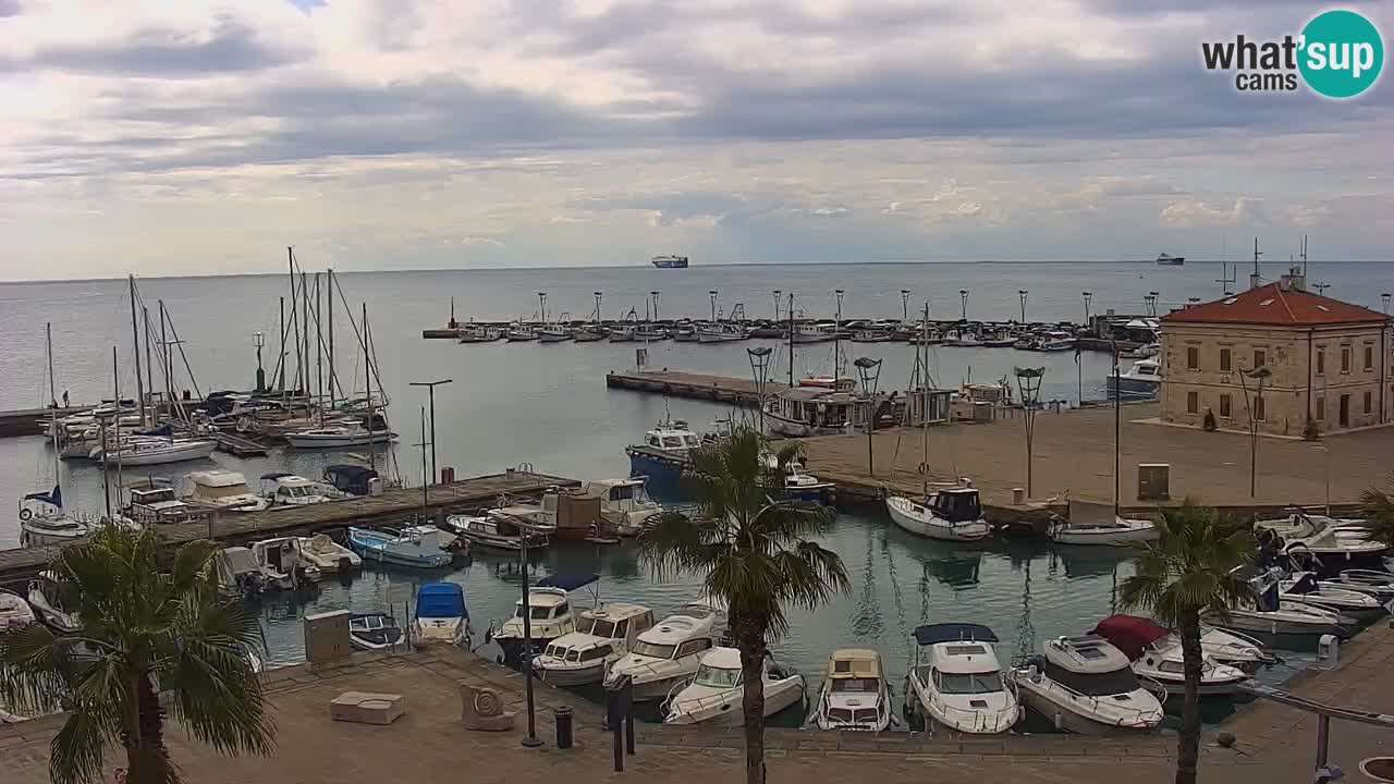 Camera en Vivo Koper – Ukmarjev trg