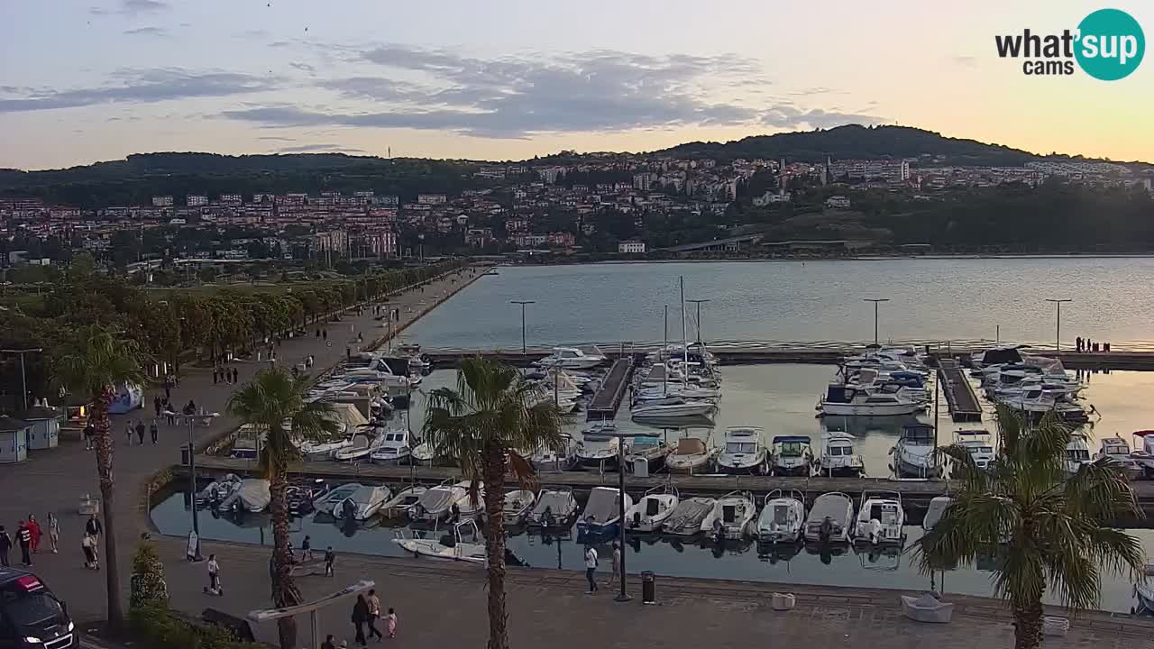 Livecam Koper – Ukmarjev trg