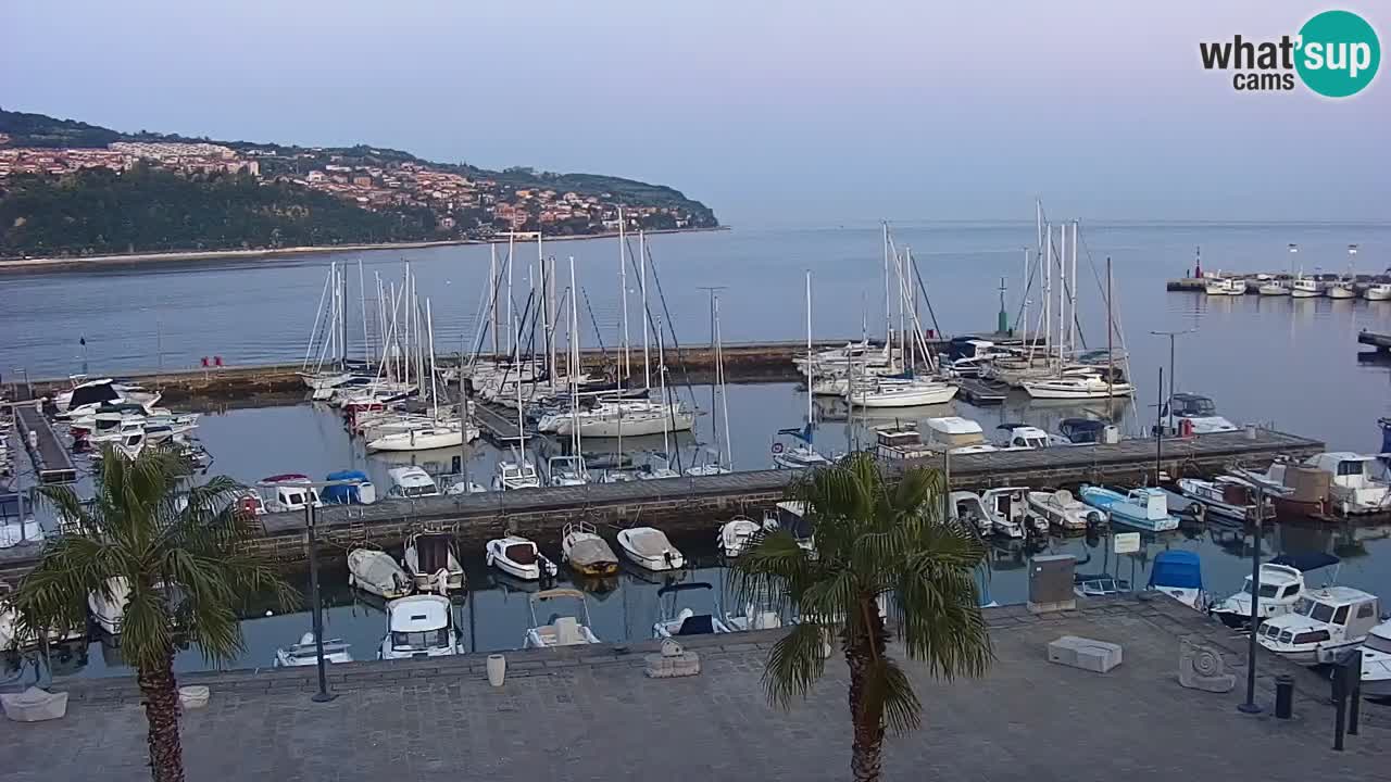 Livecam Koper – Ukmarjev trg