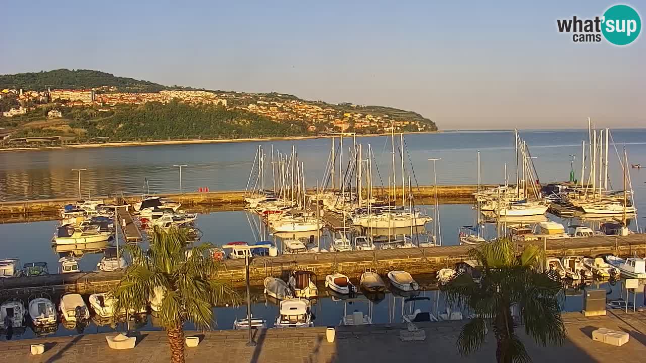 Livecam Koper – Ukmarjev trg