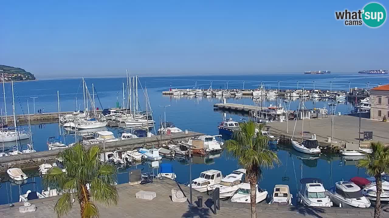 Live cam Koper – Ukmarjev trg