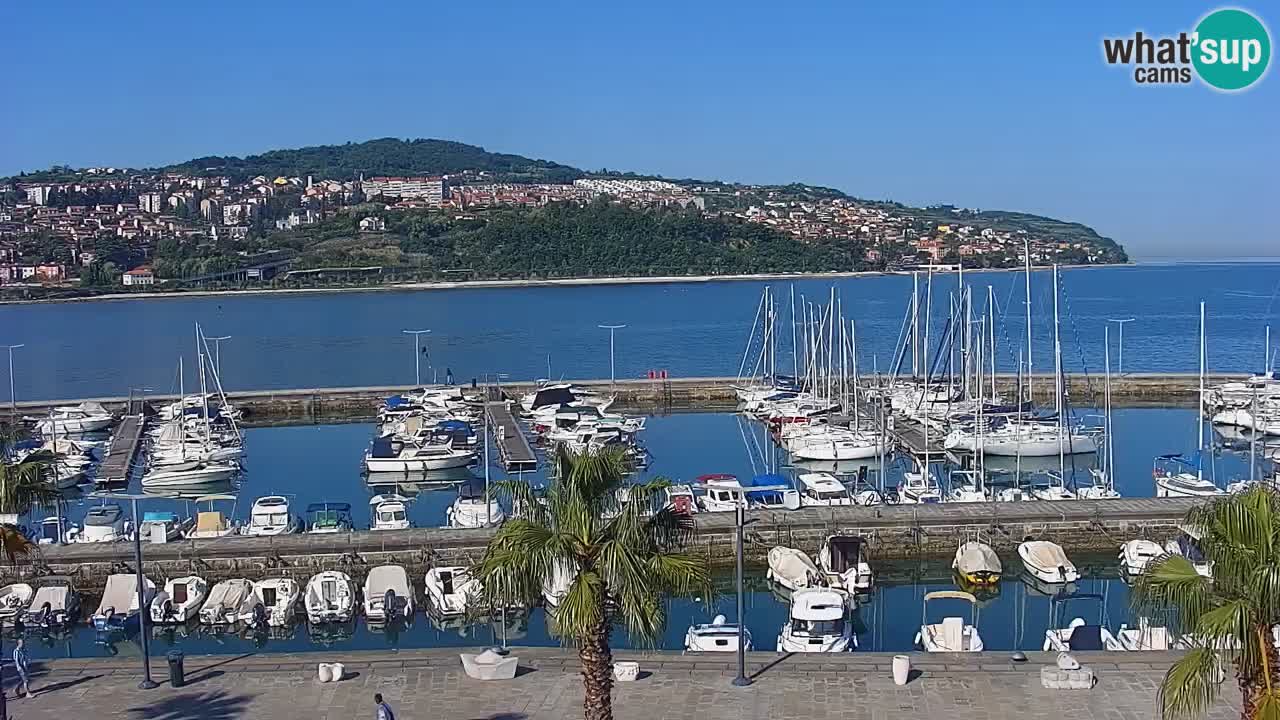 Der Hafen von Koper Live-Webcam – Kreuzfahrt- und Frachthafen – Slowenien