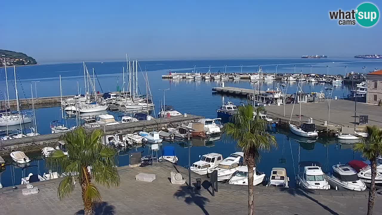 Webcam Koper – Panorama of the marina and promenade from the Grand Hotel Koper