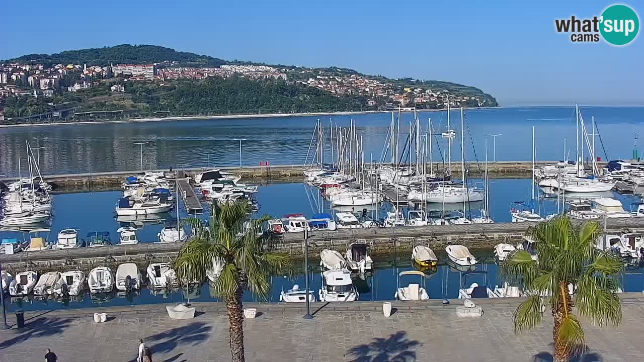 Livecam Koper – Ukmarjev trg