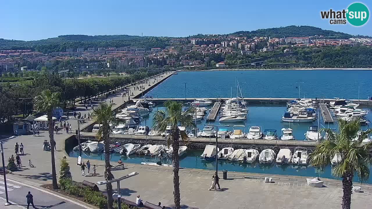 Livecam Koper – Ukmarjev trg
