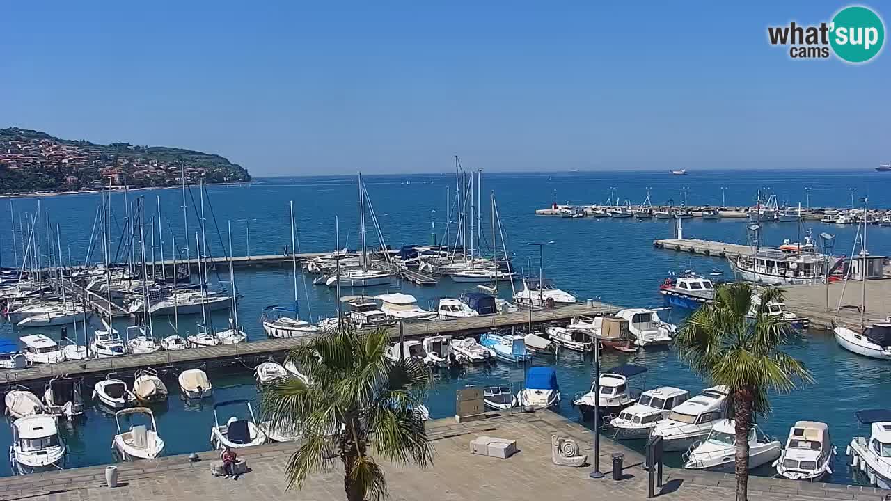 The Port of Koper live webcam – cruise and cargo port – Slovenia