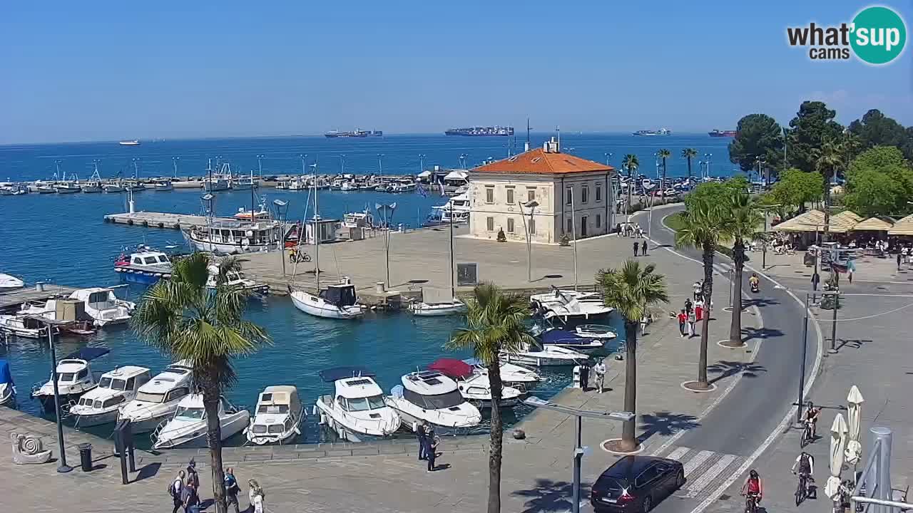 The Port of Koper live webcam – cruise and cargo port – Slovenia