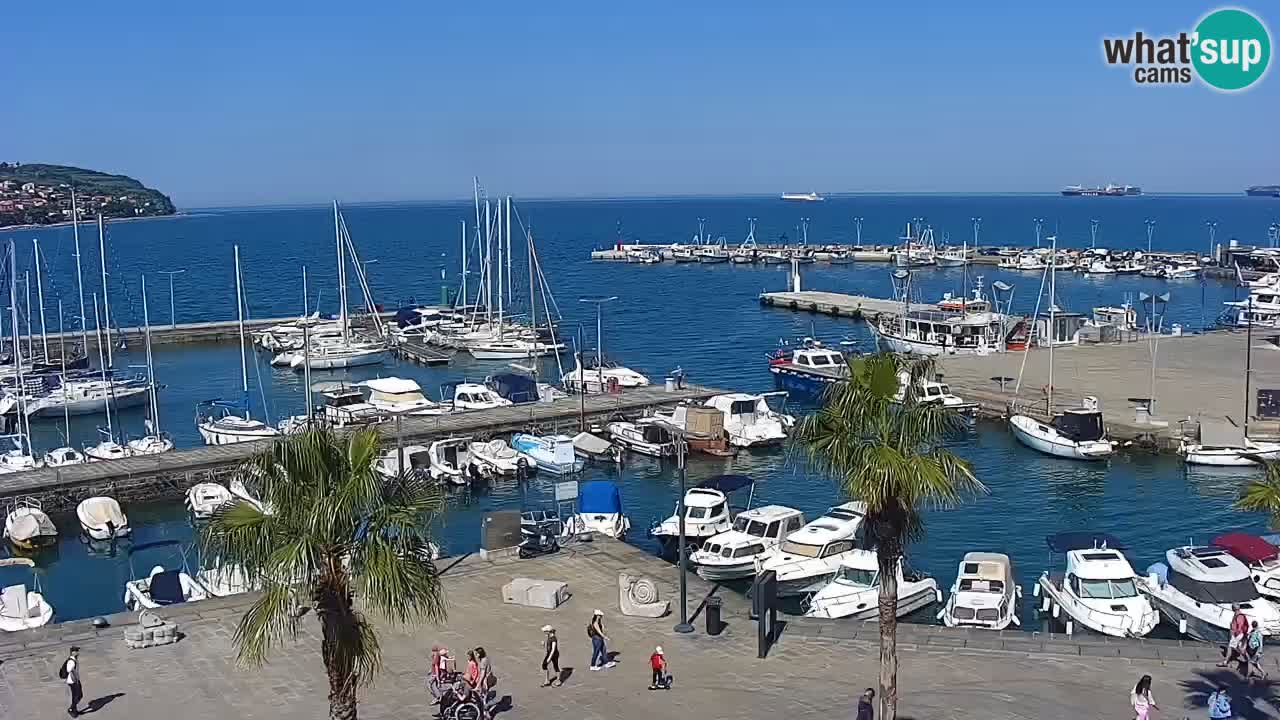Camera en vivo Koper – puerto deportivo y paseo marítimo desde el Hotel Grand Koper