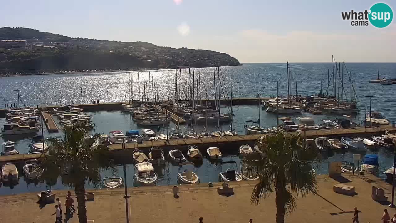 Der Hafen von Koper Live-Webcam – Kreuzfahrt- und Frachthafen – Slowenien