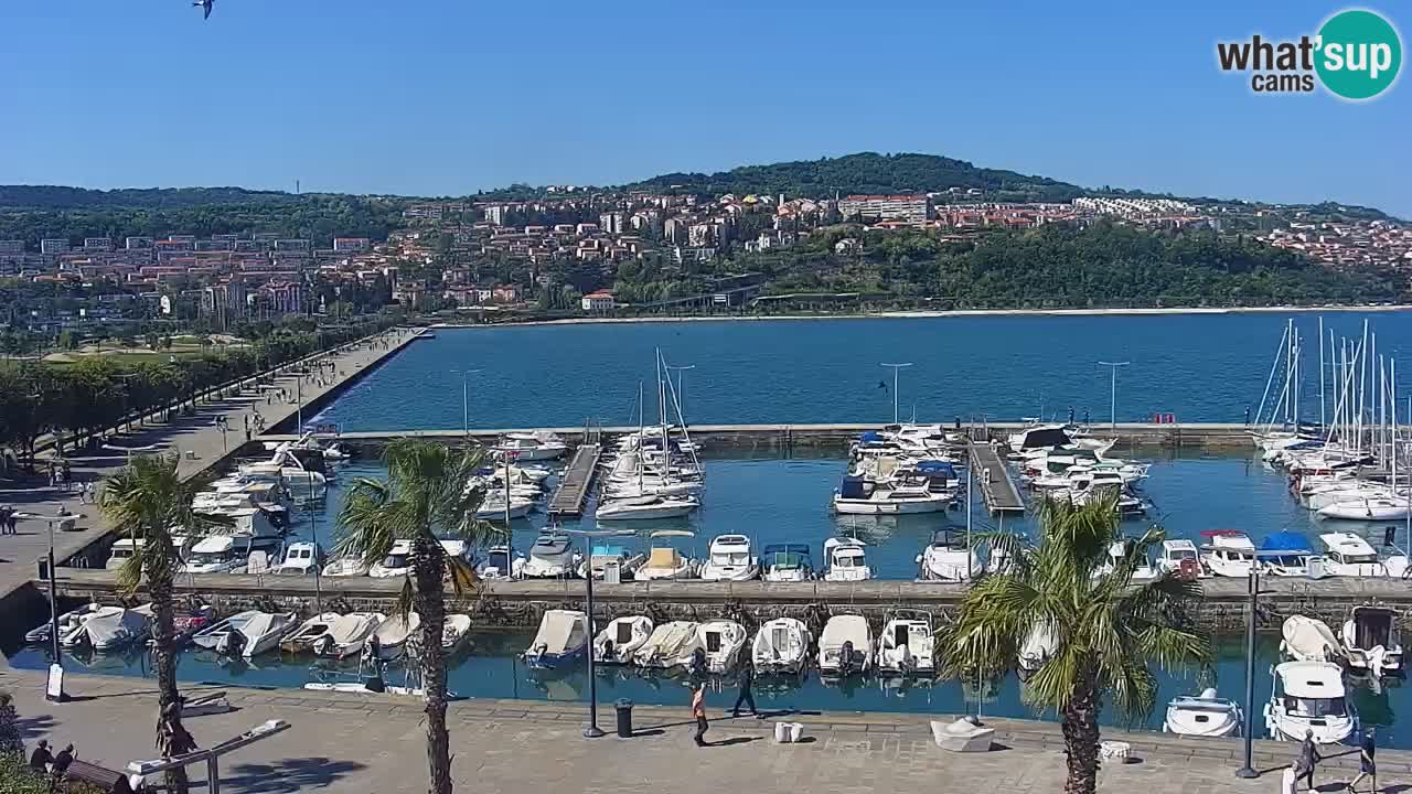The Port of Koper live webcam – cruise and cargo port – Slovenia
